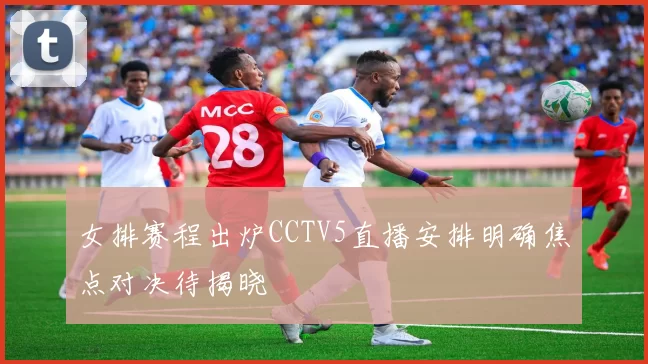 女排赛程出炉CCTV5直播安排明确焦点对决待揭晓
