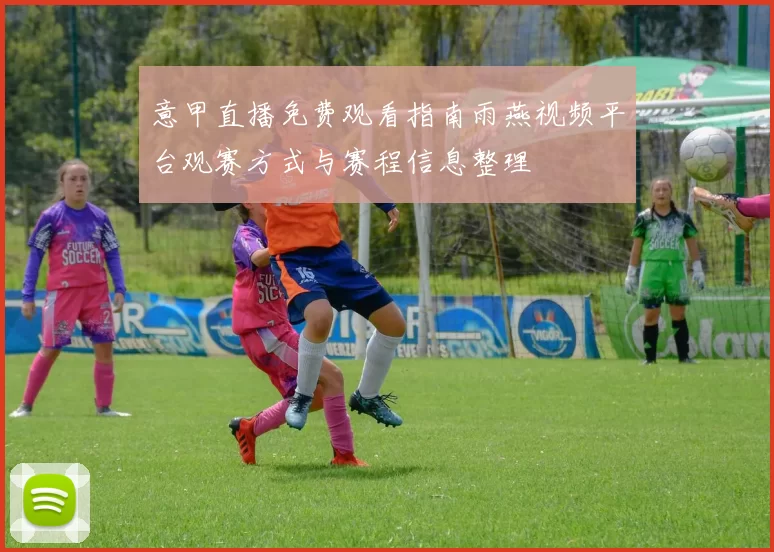意甲直播免费观看指南雨燕视频平台观赛方式与赛程信息整理