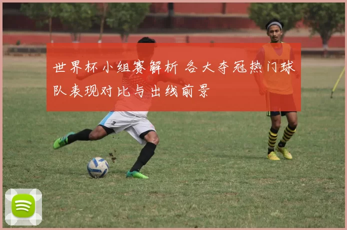 世界杯小组赛解析 各大夺冠热门球队表现对比与出线前景